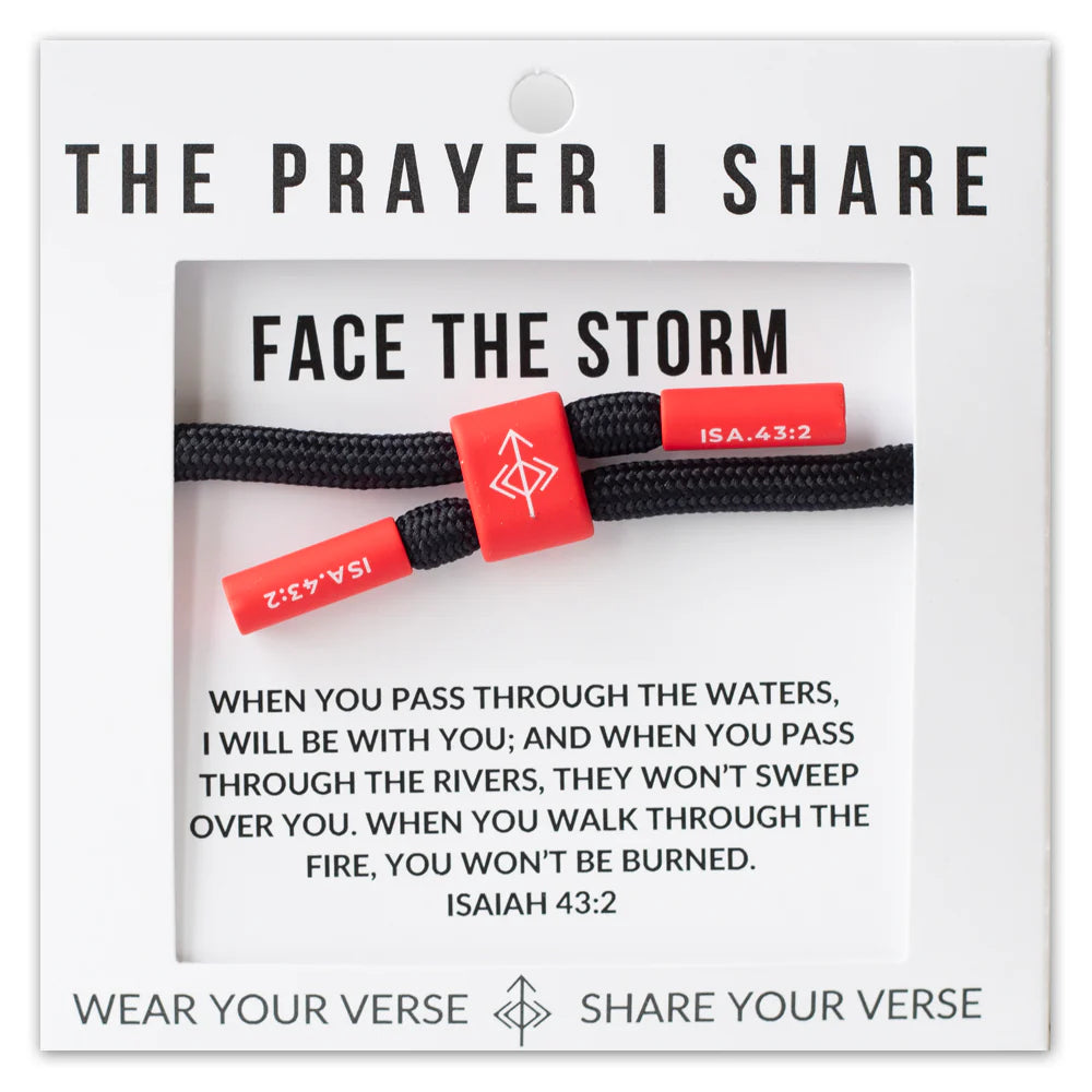 Face the Storm The Prayer I Share-The Prayer I Share-The Bugs Ear