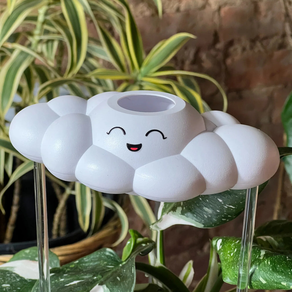 Chelsea Dripping Rain Cloud-The Cloud Maker-The Bugs Ear