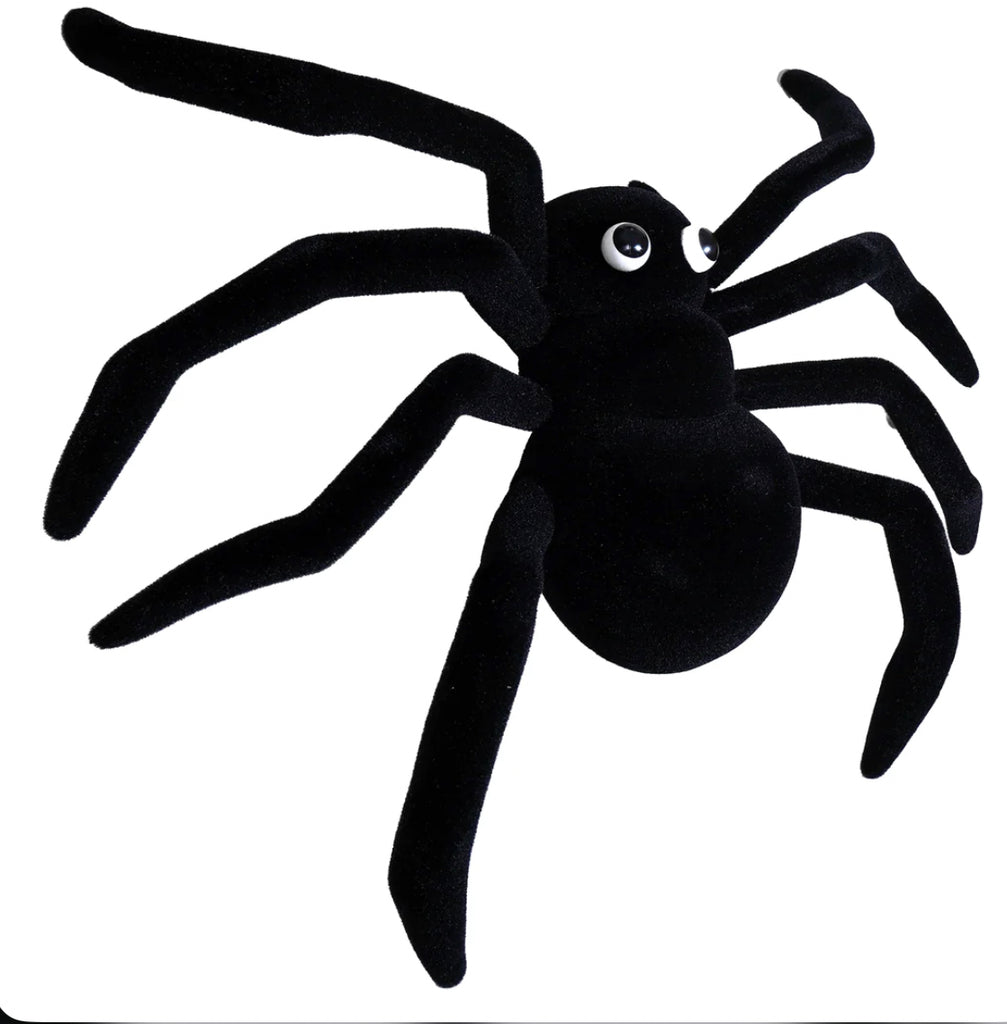 Black Flocked Spider-One Hundred 80-The Bugs Ear