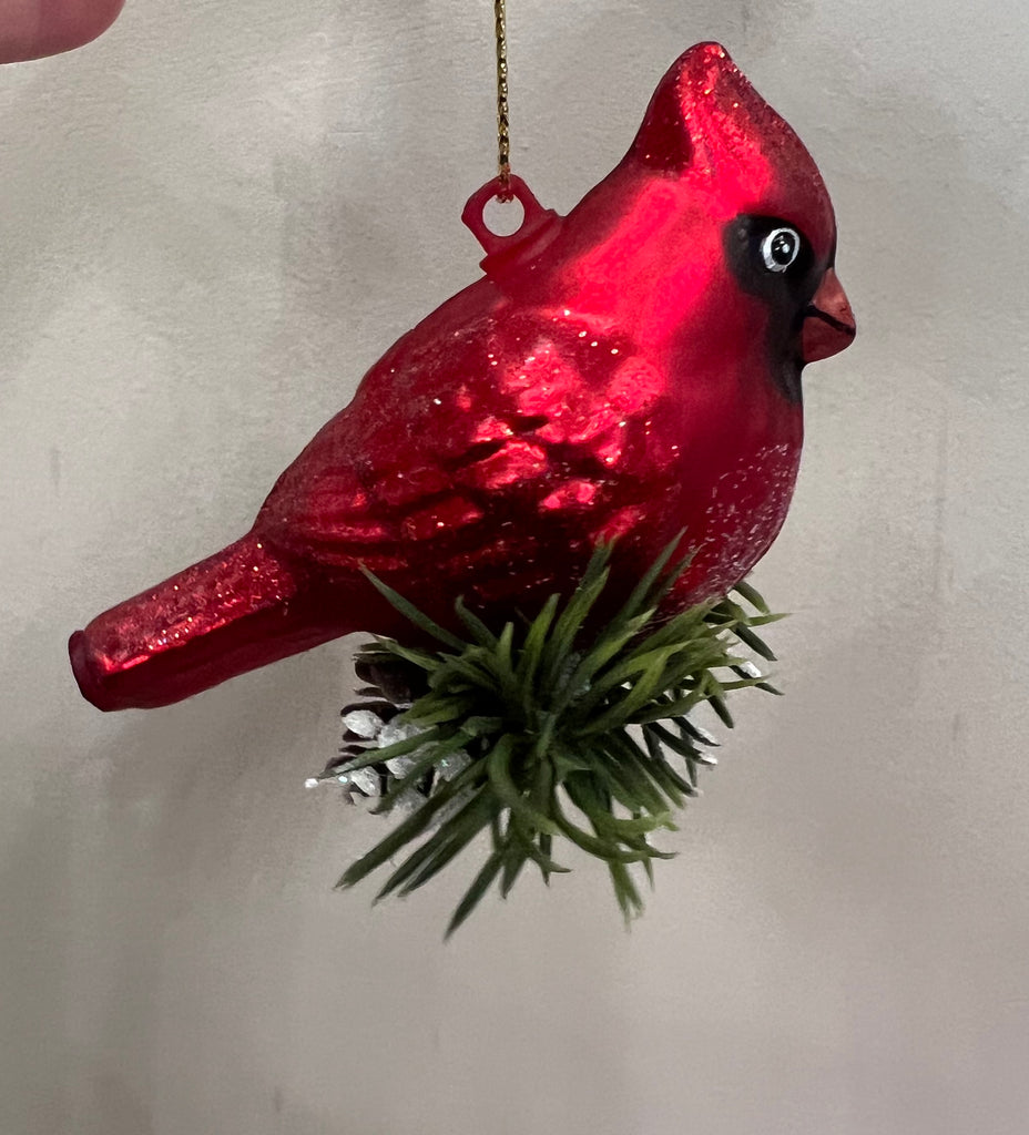 Cardinal Ornament-One Hundred 80-The Bugs Ear