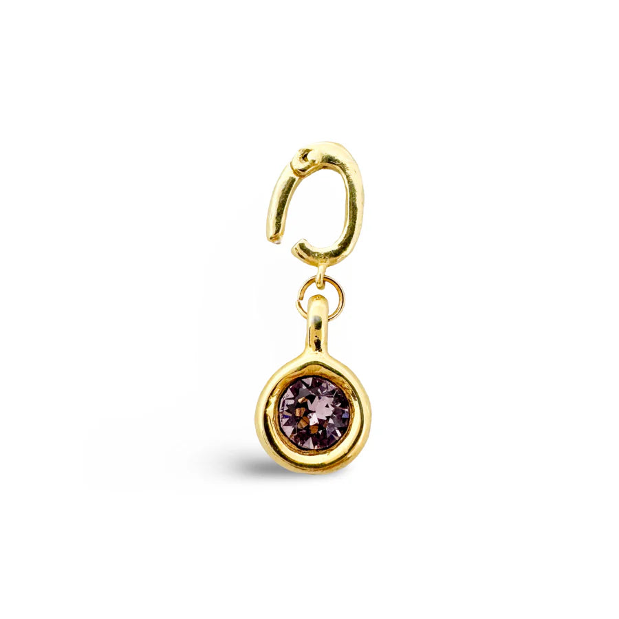 Birthstone Classic Gold Charms Ethicgoods-Ethicgoods-The Bugs Ear