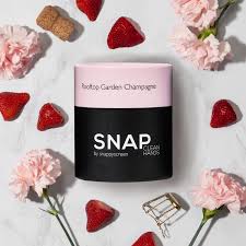 Touchless Mist Sanitizer Refill Cartridge SNAP Wellness-Snap Wellness-The Bugs Ear