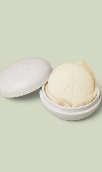 The Travel Case-Kate McLeod-The Bugs Ear