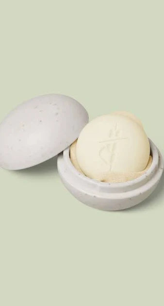 The Travel Case-Kate McLeod-The Bugs Ear