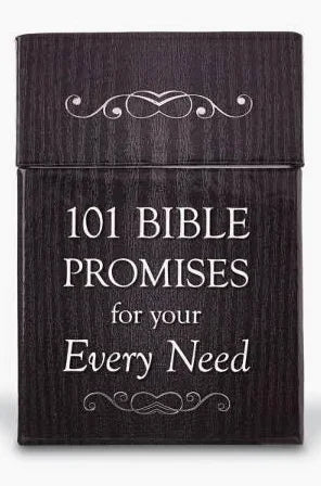 101 Bible Promises for Your Every Need Box of Blessings-Christian Art-The Bugs Ear