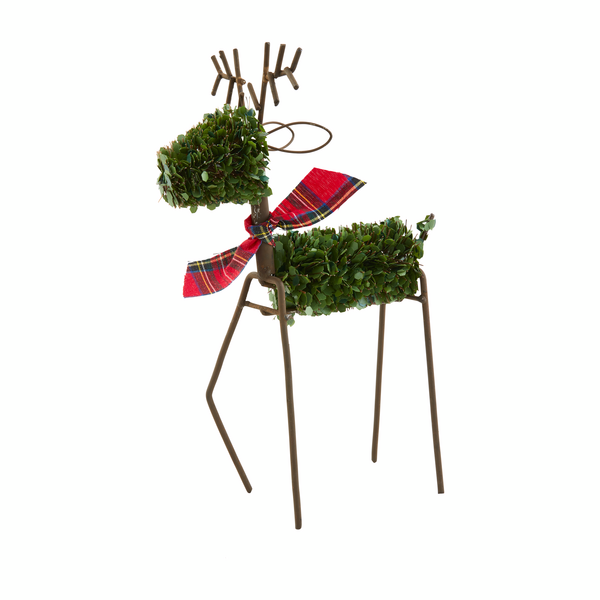 Boxwood Reindeer Mud Pie-Mud pie-The Bugs Ear