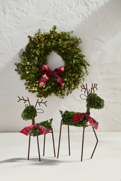 Boxwood Reindeer Mud Pie-Mud pie-The Bugs Ear