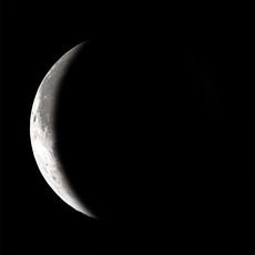 Moonglow Moonstock Bangle Bracelet-Moonglow-The Bugs Ear