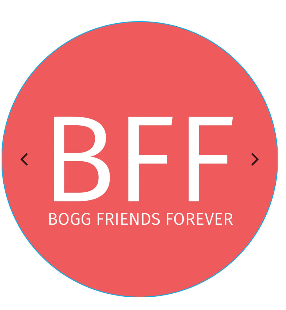 Bogg Bits LARGE ASSORTMENT-Bogg Bag-The Bugs Ear