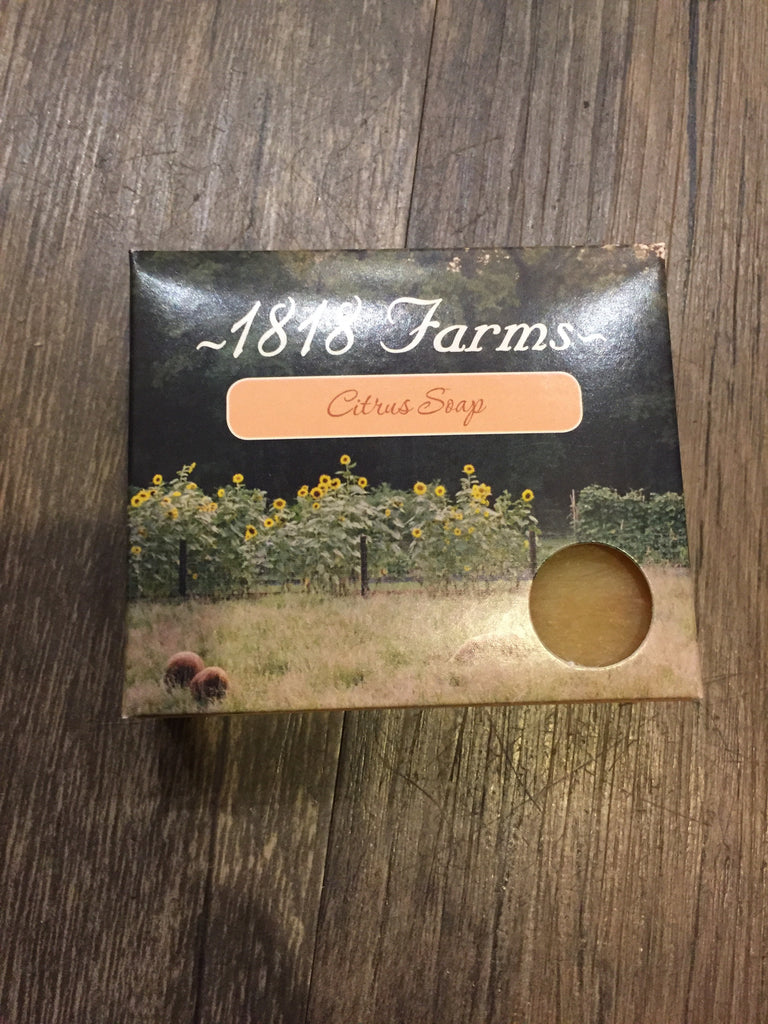Citrus Hand Crafted Soap-1818 Farms-The Bugs Ear