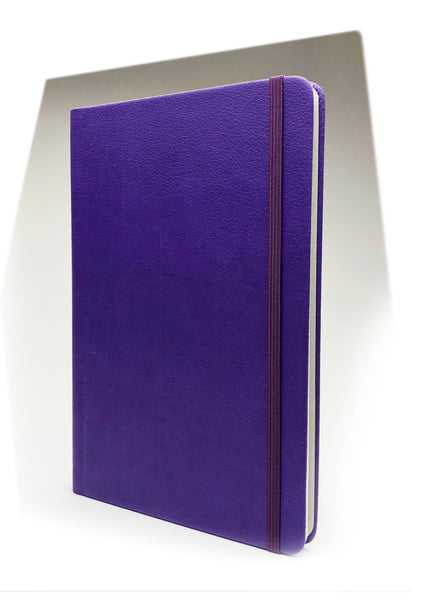 Rekonect Magnetic Notebook – The Bugs Ear