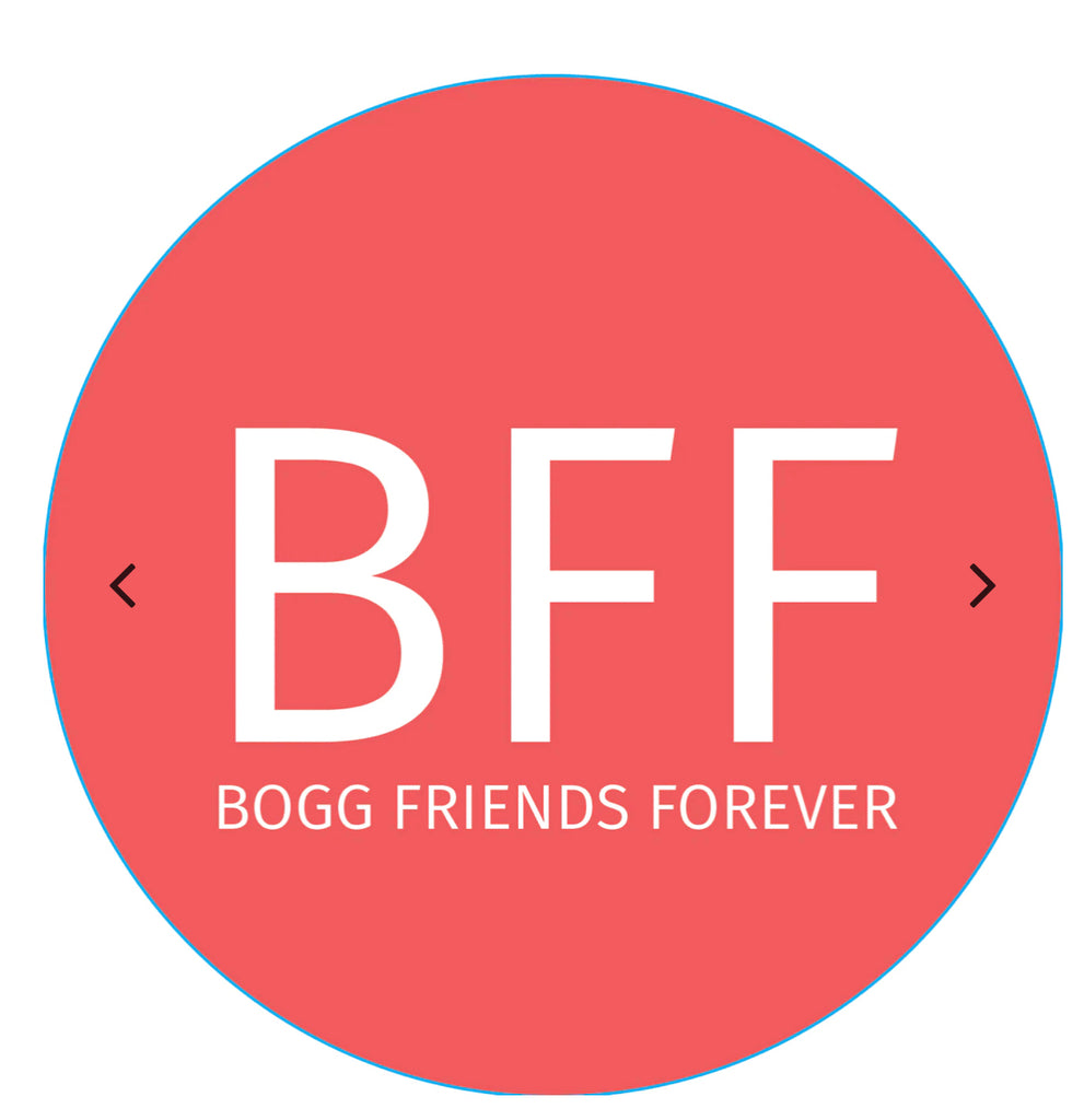 Bogg Bits LARGE ASSORTMENT-Bogg Bag-The Bugs Ear