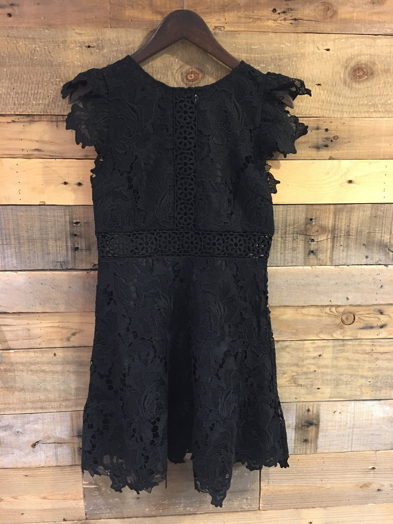 BB Dakota Calvin Lace Dress in Black-BB Dakota-The Bugs Ear