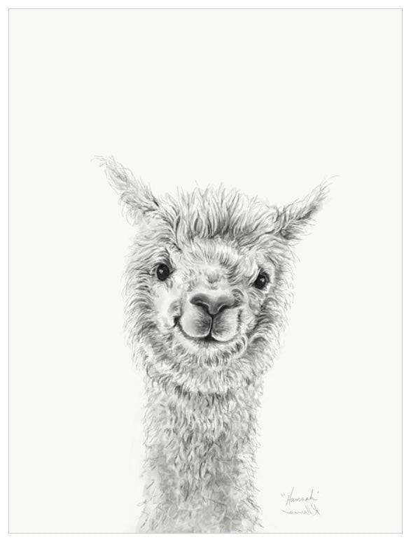 Llama Draw You A Portrait - Hannah Wall Art-Greenbox-The Bugs Ear