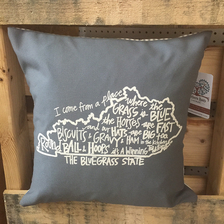 Southern Roots Pillow I Come From a Place-Southern Roots-The Bugs Ear
